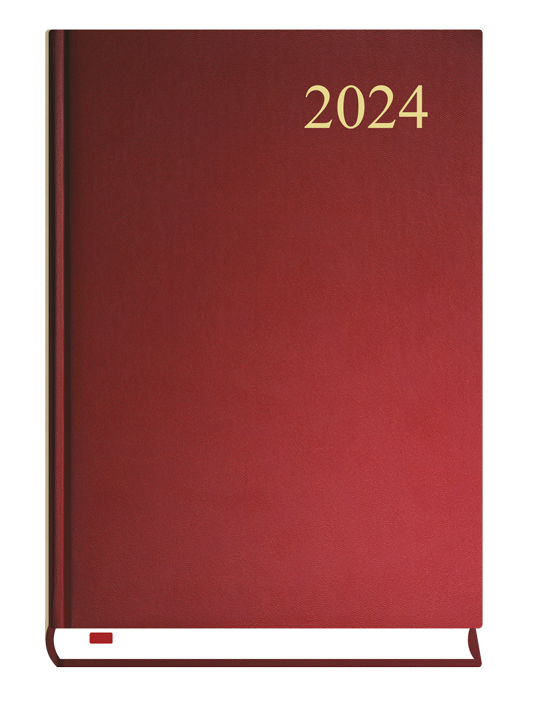 Kalendarze 2024 Rok Kalendarz Terminarz Książkowy Dzienny A5 2024 Asystent Michalczyk 5565