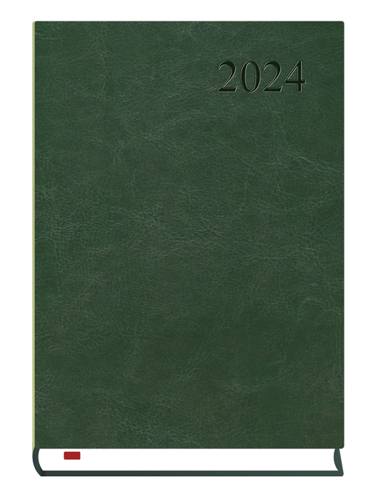 Kalendarze 2024 Rok Kalendarz Terminarz Książkowy Dzienny A5 2024 Asystent Michalczyk 3853