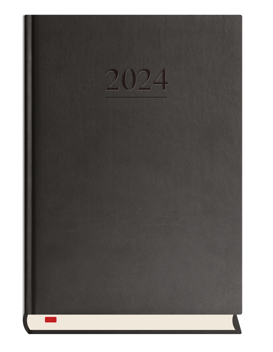 Kalendarze 2024 Rok Kalendarz Terminarz Książkowy Tygodniowy A4 2024 Uniwersalny Michalczyk 4246
