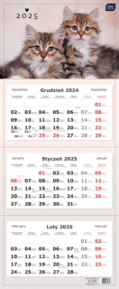 Kalendarz naścienny trójdzielny 34x83cm 2025 koty Interdruk