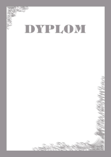 Dyplom silver 190g A4 25ark. Opus