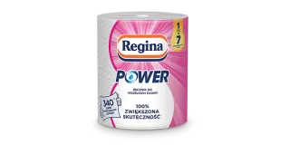 Ręcznik papierowy 2W Power Regina